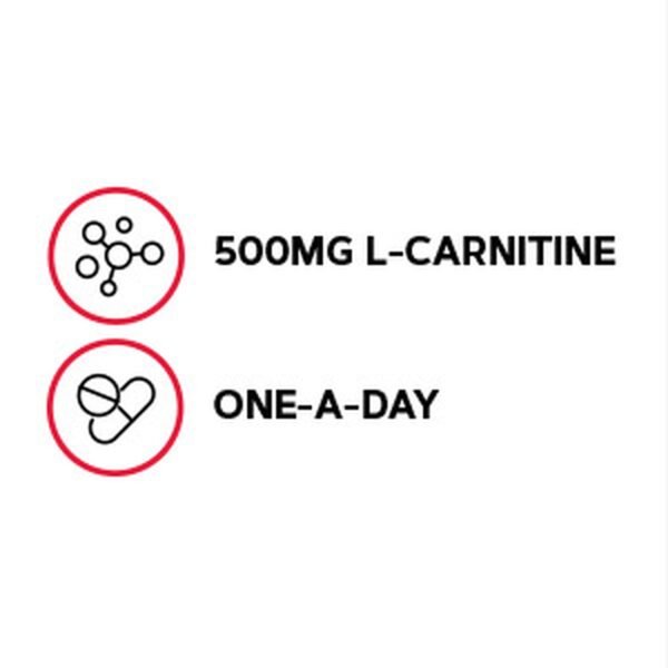 Gnc Gentlesorb Iron 18 Mg, Fier Cu Absorbtie Usoara 18 Mg , 90 Cps - imagine 4