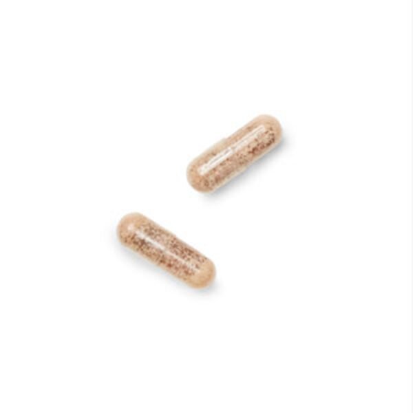 Gnc Gentlesorb Iron 18 Mg, Fier Cu Absorbtie Usoara 18 Mg , 90 Cps - imagine 3