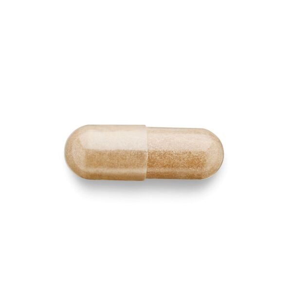 Gnc Herbal Plus Rhodiola 340mg, Extract De Rodiola, 100 Cps - imagine 3