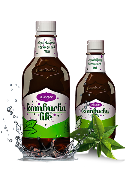 Kombucha Life cu ghimbir