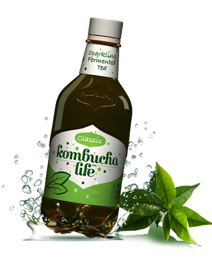 Kombucha Life clasic