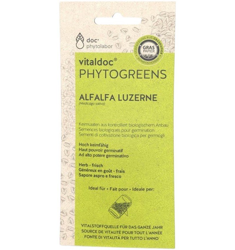 Seminte bio de alfalfa (lucerna) pentru germinat,